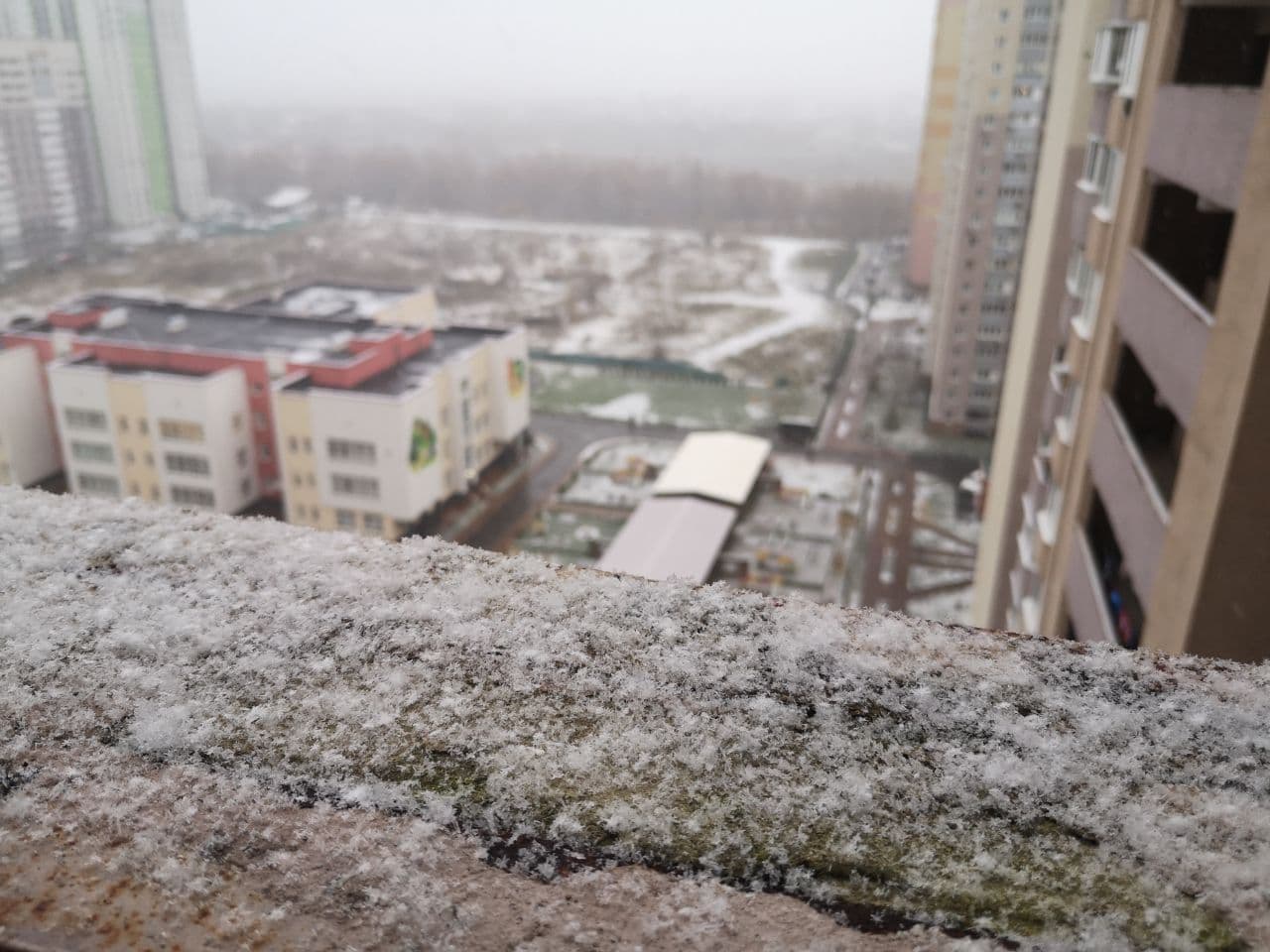Первый день зимы. Фото: Анастасия Товт