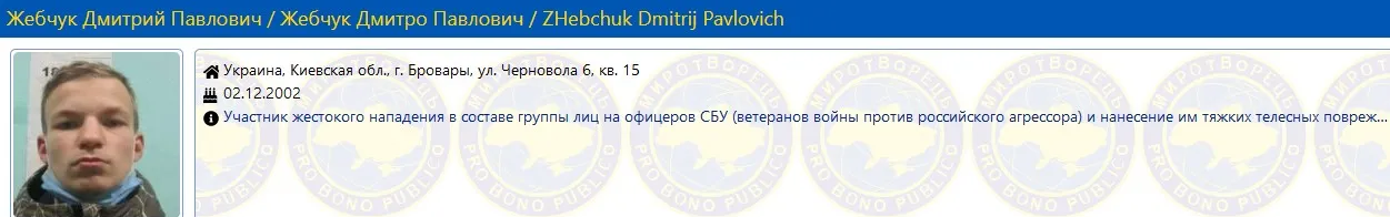 Скриншот: Жебчук Дмитрий Павлович